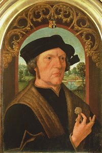Portrait of a Man in Front of a Window